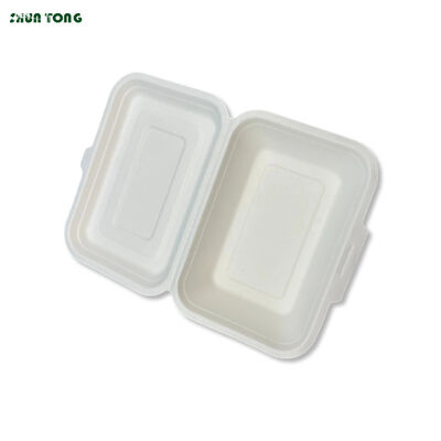 450ml Bagasse Clamshell Container – Heavy-Duty Takeout Box